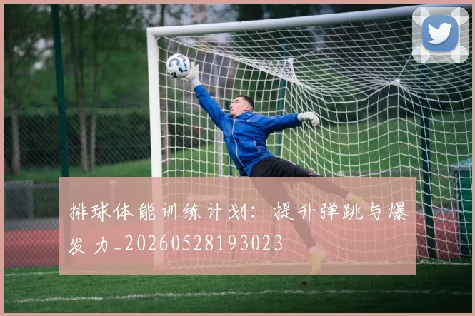 排球体能训练计划:提升弹跳与爆发力_20260528193023